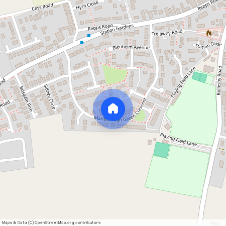 Hamilton Walk, Martham