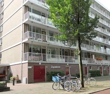 Volendamlaan 0ong, 2547 CH Den Haag, Nederland - Foto 2