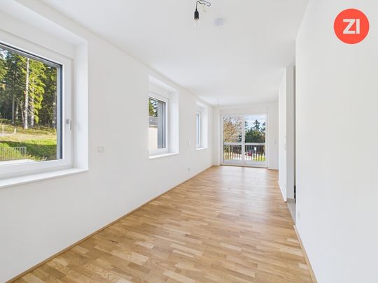 *Über der Nebelgrenze* 2 Zimmer Wohnung mit Blick ins Grüne - Photo 1