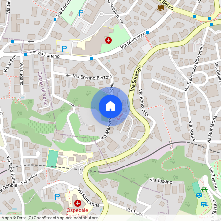 Via Marietta Crivelli-Torricelli, 6900 Lugano