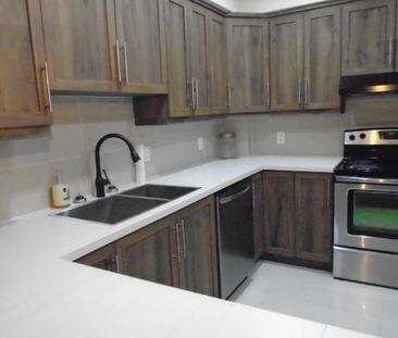 5 ½ rue Papineau 5 électros Inclus Montréal LIBRE - Photo 4