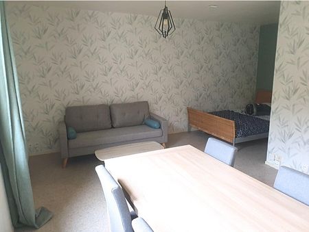 1 pièce - Meublé - 30 m² - RDC - Colocation non autorisée - Photo 5