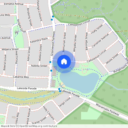 111 Callistemon Circuit, Jordan Springs NSW 2747