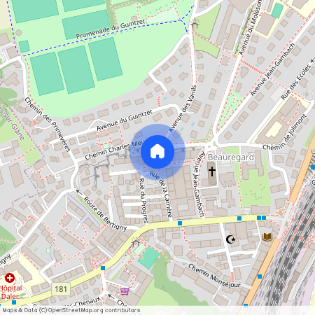 Rue de la Carrière 22, 1700, Fribourg