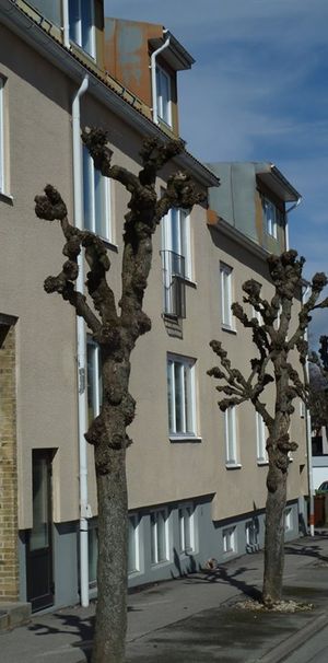 Bergsgatan 6 - Foto 2