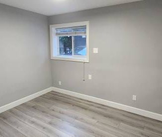 1 bedroom Basement Suit - Photo 4