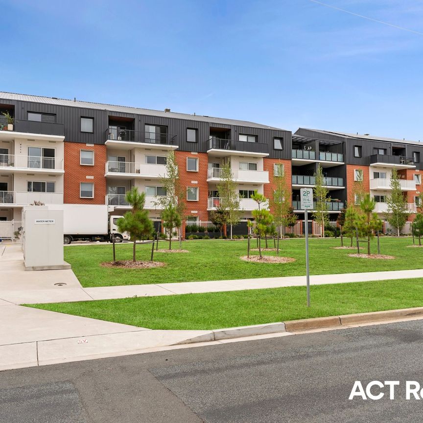 49/16 Bradfield Place, Downer ACT 2602 - Apartment For Rent | Domain - Photo 1