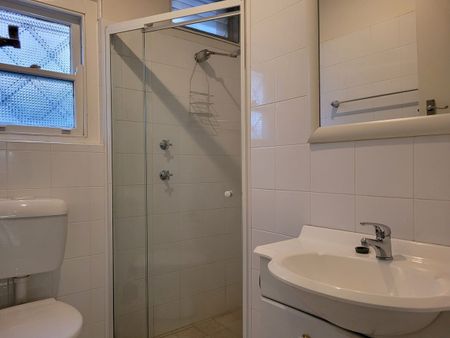 1/263 Edgecliff Road, Woollahra NSW 2025 - Apartment For Rent | Domain - Photo 5