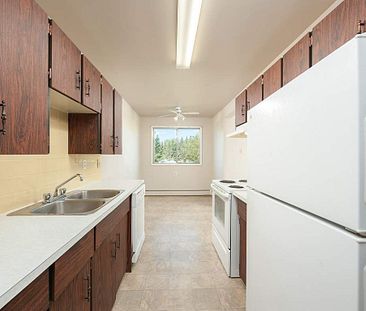 Gemini Apartments - Photo 2