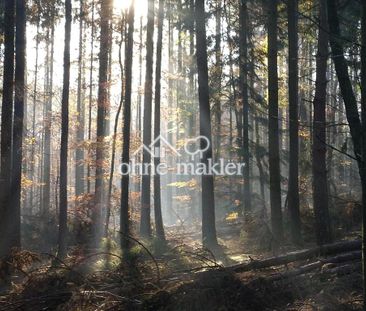 Etagenwohnung in Schlangenbad (Georgenborn) - Photo 1