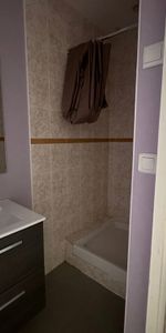 Location Appartement 1 pièce 20m² LIMOGES 87100 - Photo 4