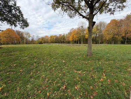 2 bedroom maisonette to rent - Photo 3