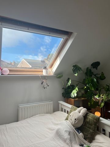 Room in a Shared House, Forres Road, S10 - Photo 3