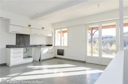 Location Appartement 3 pièces 105m² PONT EN ROYANS 38680 - Photo 4