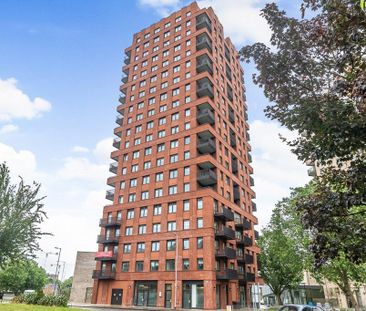 1 bedroom flat to rent - Photo 6