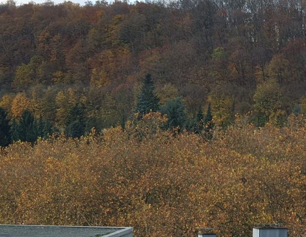 Helle und schöne Wohnung 100 m² mit EBK inkl. in Miete - Foto 1