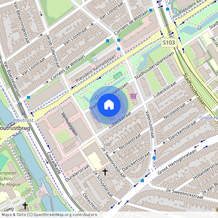 Stadhoudersplantsoen 154, Stadhoudersplantsoen, 2517SJ, Den Haag