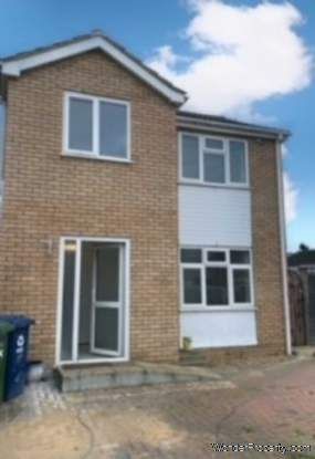 3 bedroom property to rent in St Neots - Photo 4