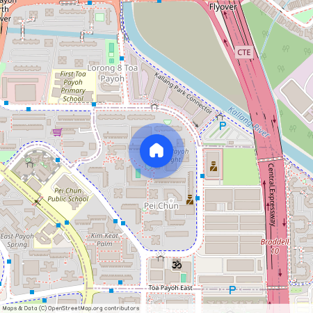 233 Lorong 8 Toa Payoh (310233), Singapore