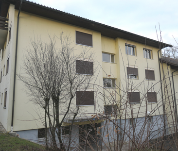 Grosszügige 2.5-Zimmerwohnung im Erdgeschoss mit Terasse - Photo 3