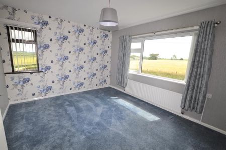 55 Corlust Road, Clare, Tandragee, BT62 2HZ - Photo 4