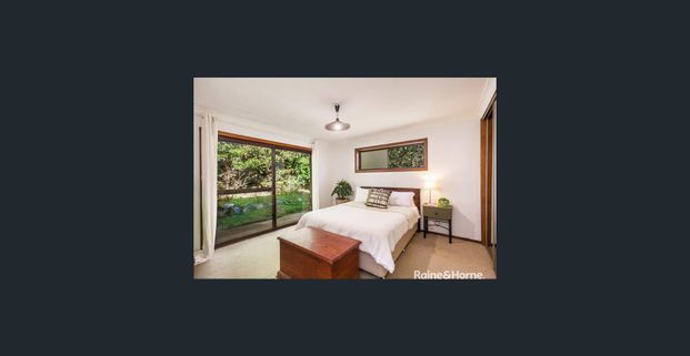 Amongst The Gum Trees - Photo 1