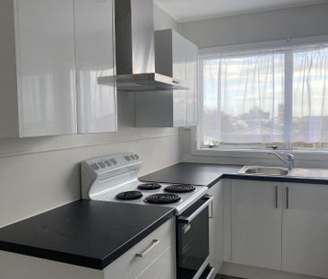 Unit 7, 253 Spey Street, Invercargill Central - Photo 2