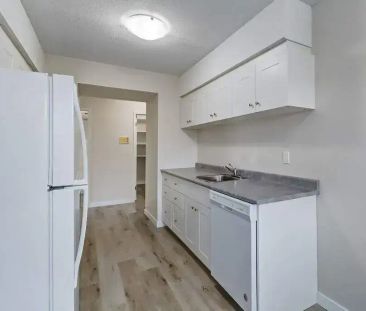 1 Bedroom - Photo 5