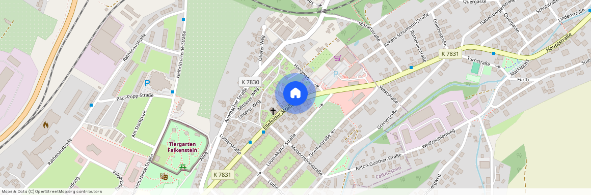 Ellefelder Straße 37, 08223 Falkenstein