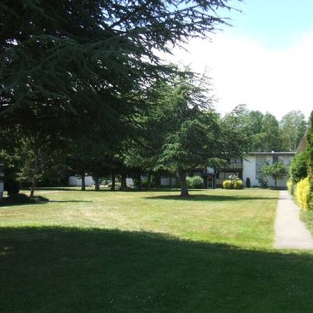 Top Floor End Unit Two Bedroom For Oct 1st - Photo 1