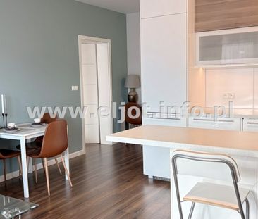 Dąb, Katowice - Zdjęcie 3