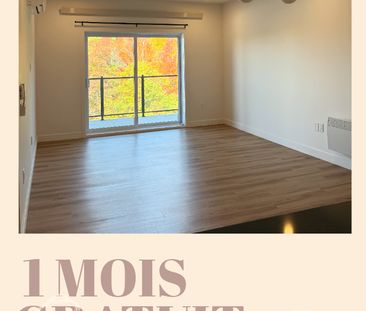 3 1/2 à Drummondville - Photo 3