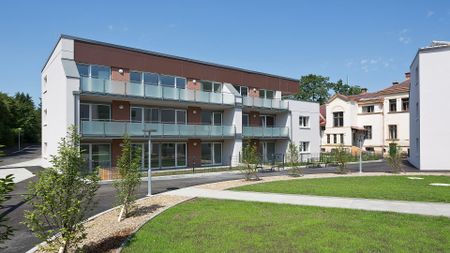 SCHEIBBS XX/2 - Foto 2