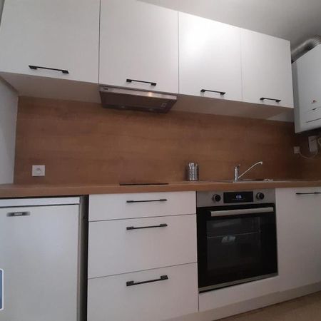 Location Appartement 1 pièce 30m² NANTES 44100 - Photo 3
