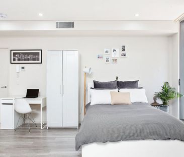 201B/23 Roger Street, Brookvale NSW 2100 - Studio For Rent | Domain - Photo 3