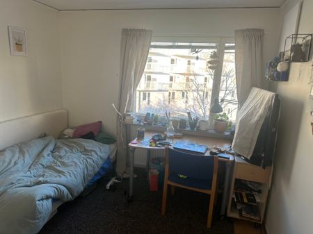 Djäknegatan, Uppsala - Photo 3
