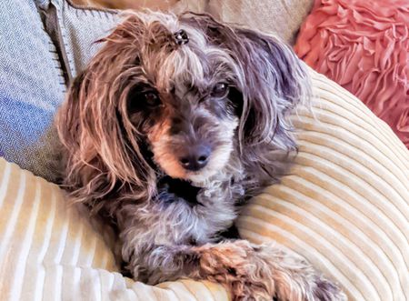 Grundtvigsgatan, Bromma - Foto 5