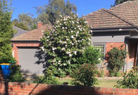 Camberwell - Photo 5