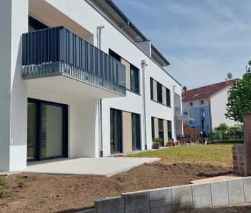 Vermietung: Erstbezug 4-Zimmer EG Wohnung mit großer Terrasse und Garten in Höllstein! - Foto 3