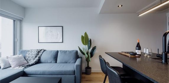 3 ½ entièrement meublé à louer Saint-Jean-Baptiste août 2026 - Photo 2