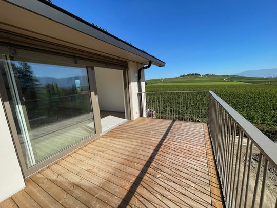 APPARTEMENTS NEUFS DE 5 PIECES SEZENOVE-BERNEX - Foto 1