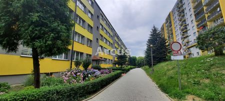 Grabówka, Bitwy pod Studziankami, Tarnów - Photo 3