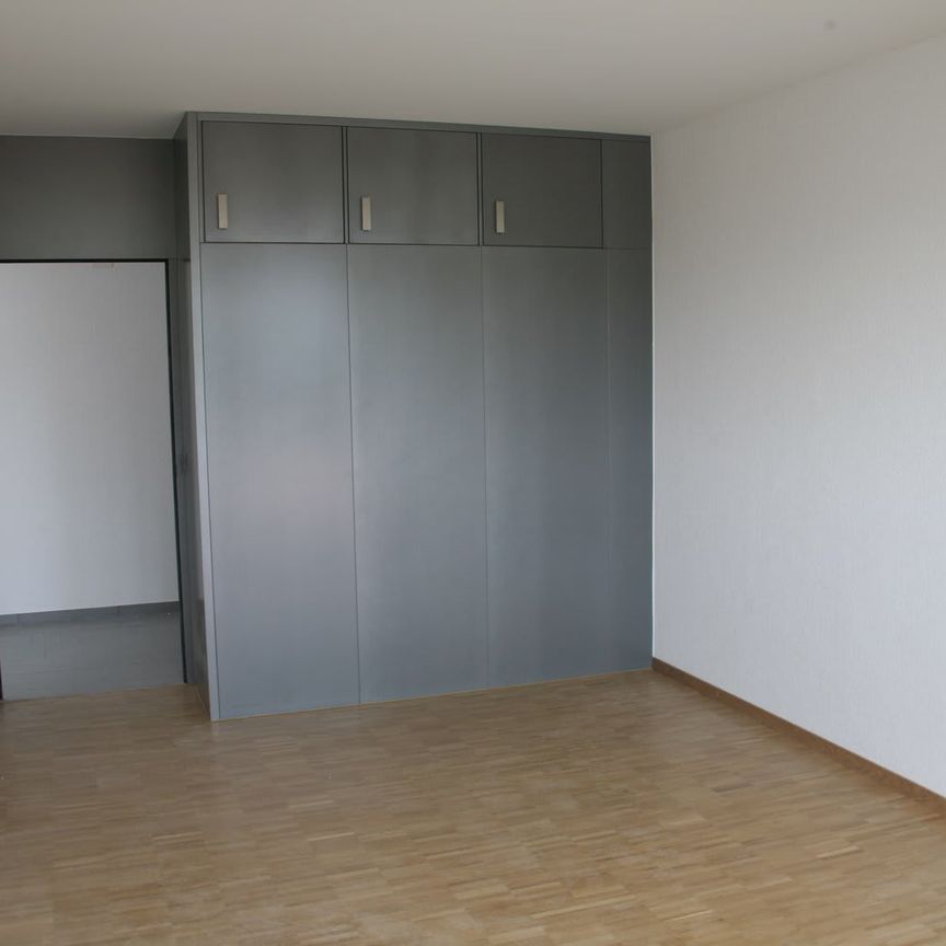 3.5 Zimmer, 120 m², 3. Stock - Photo 1