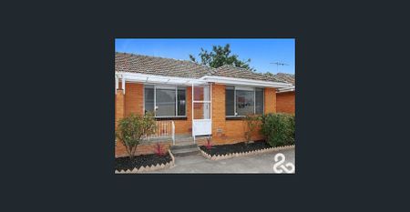 GET IN LINE FOR PINE! - Photo 2