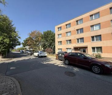 Pronájem bytu 1+1 se sklepní kójí a možností užívání zahrady u domu - Photo 5
