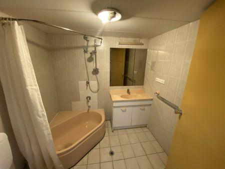 Partly Furnished Unit - Electricity and Water Included. - Photo 5