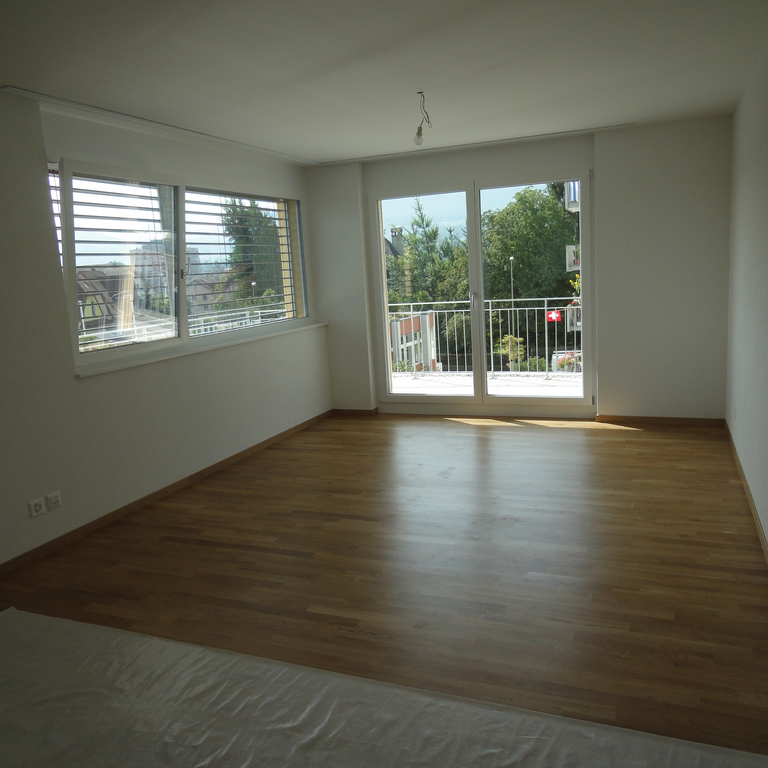 Helle 2.5- bis 3-Zi.Dach-WHG, (65 m2) mit grosser Südwest - Terrasse - Photo 1