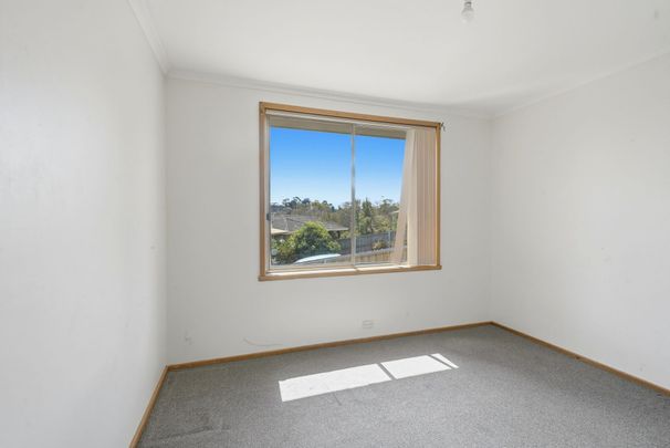 Neat & Tidy 3-Bedroom Home with Spacious Yard & Shed - Photo 1