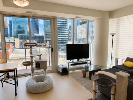 For Lease - 126 Simcoe Street Unit# 903, Toronto, Ontario - Photo 4