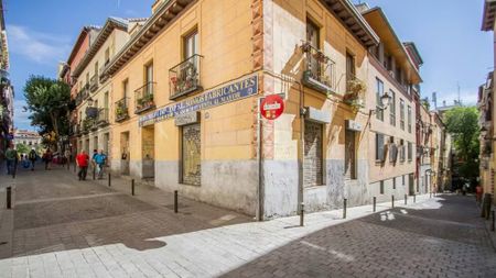 Calle de los Cabestreros, Madrid, Community of Madrid 28012 - Photo 5